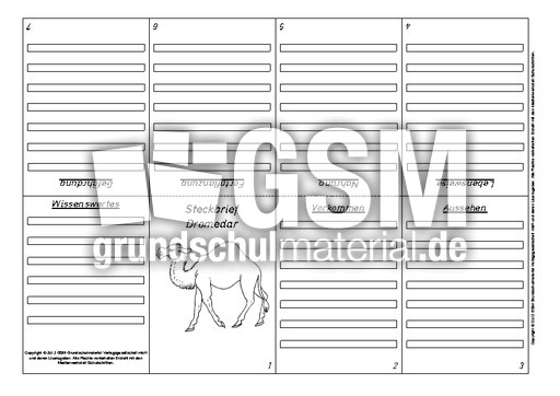 Faltbuch-Steckbrief-Dromedar-3.pdf